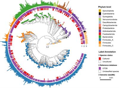 Species-Level Analysis of the Human Gut Microbiome Shows Antibiotic Resistance Genes Associated With Colorectal Cancer